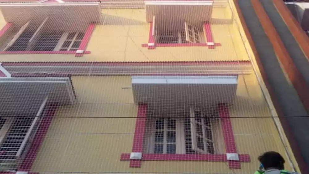 Building Safety Nets